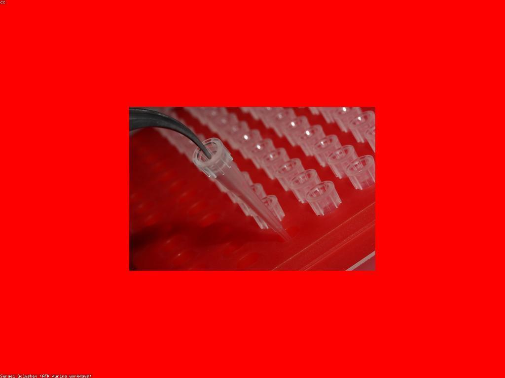 គន្លឹះសម្រាប់ការស្រាវជ្រាវអនឡាញយ៉ាងមានប្រសិទ្ធភាព