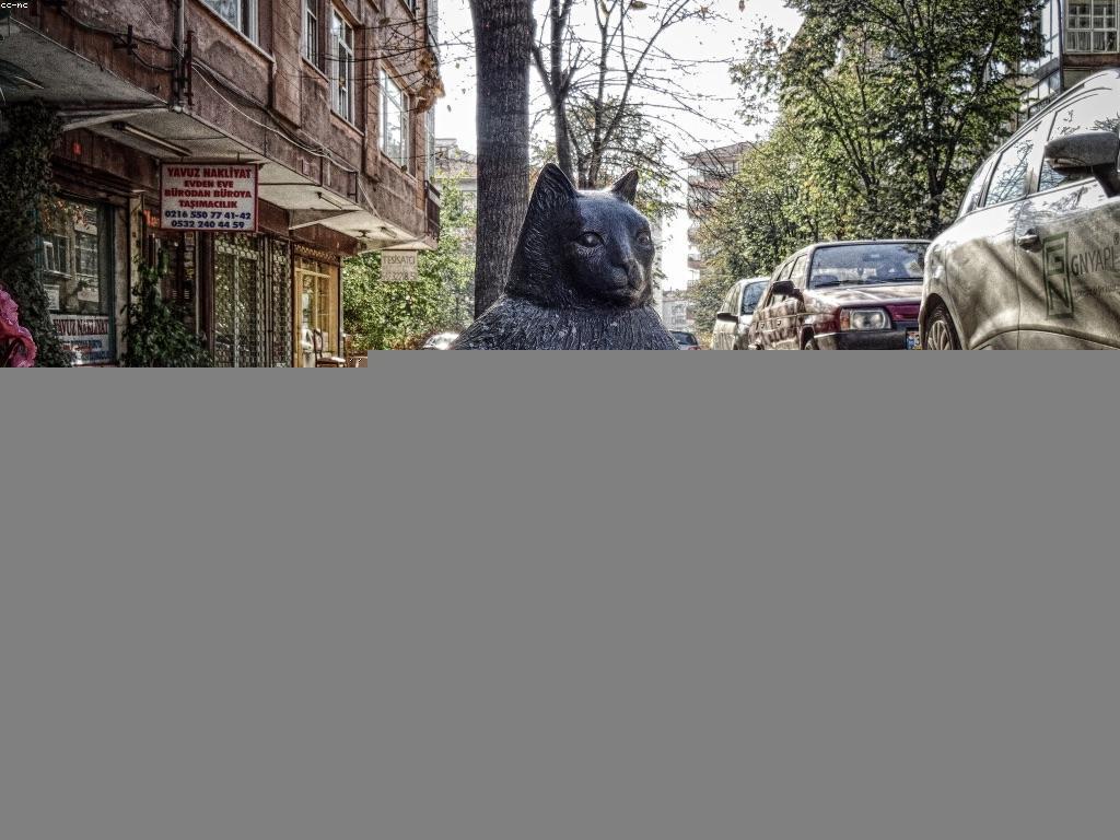 ដំបូន្មានសម្រាប់ការងារបន្ថែមដែលជោគជ័យ