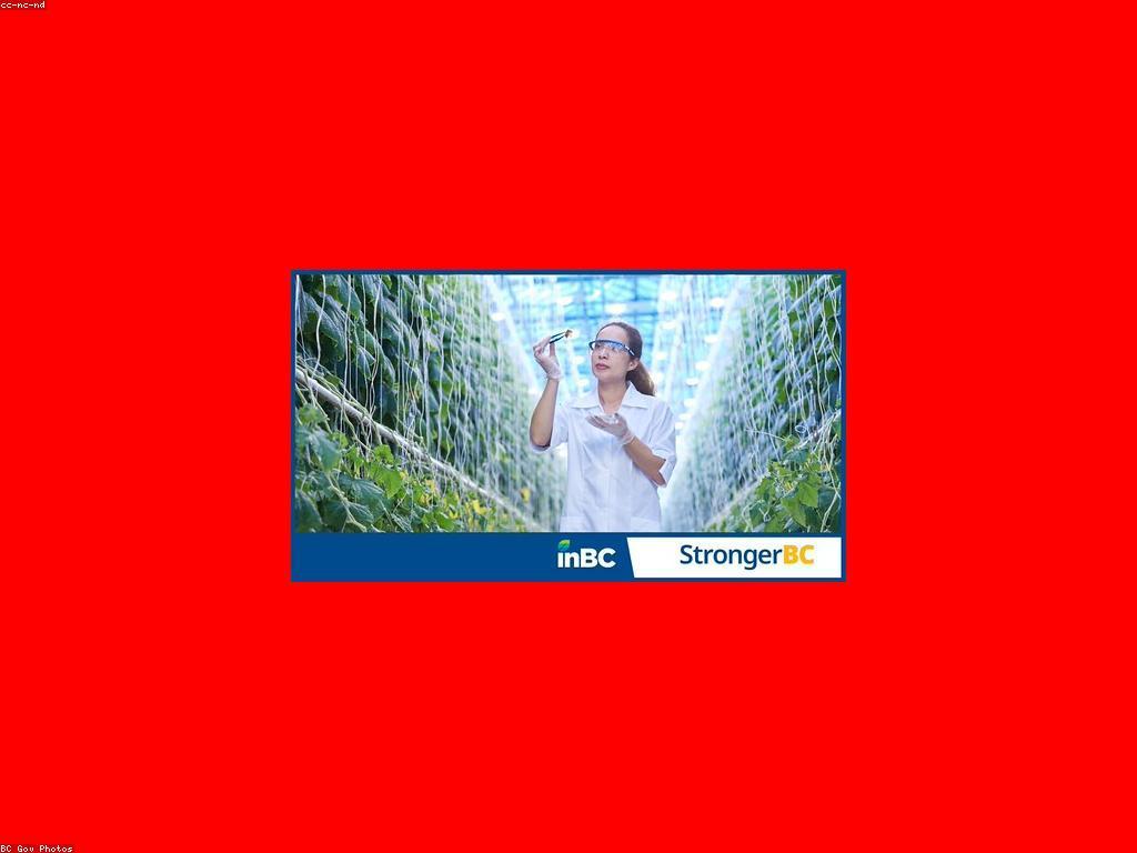 សារៈសំខាន់នៃការវិនិយោគ